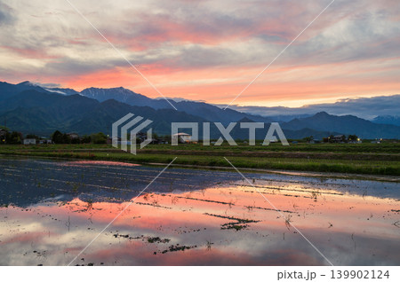 夕焼け空と北アルプスと水田【北安曇郡池田町】 139902124