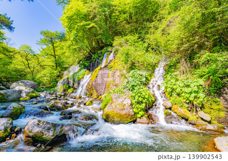 （山梨県）新緑の吐竜の滝（どりゅうのたき） 139902543