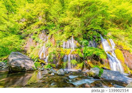（山梨県）新緑の吐竜の滝（どりゅうのたき） 139902554