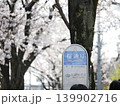 横浜市のあざみ野の桜通り 139902716