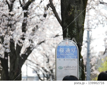 横浜市のあざみ野の桜通り 横浜市のあざみ野の桜通り 139902716