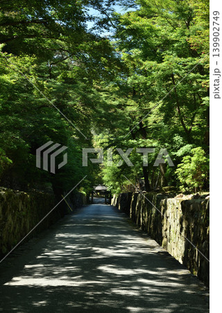 興聖寺　春の琴坂　石門への下り(京都府宇治市) 139902749