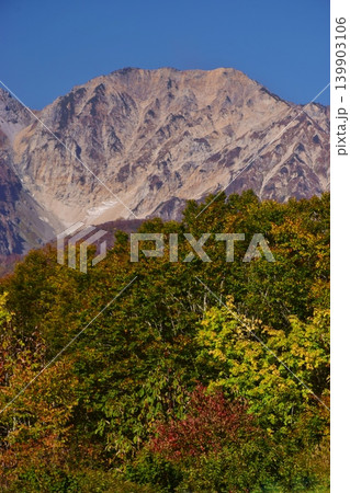 紅葉の岩岳から望む白馬の峰々 139903106