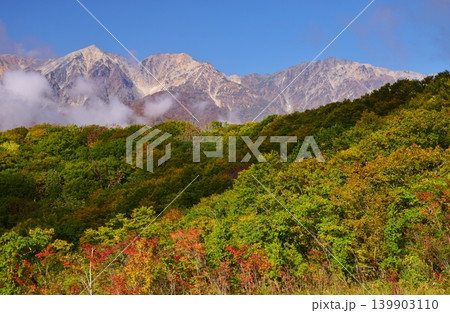 紅葉の岩岳から望む白馬の峰々 139903110