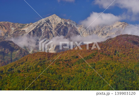 紅葉の岩岳から望む白馬の峰々 紅葉の岩岳から望む白馬の峰々 139903120