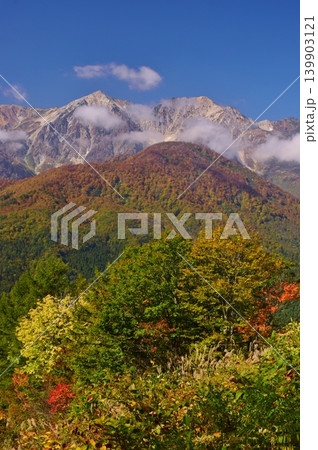 紅葉の岩岳から望む白馬の峰々 紅葉の岩岳から望む白馬の峰々 139903121