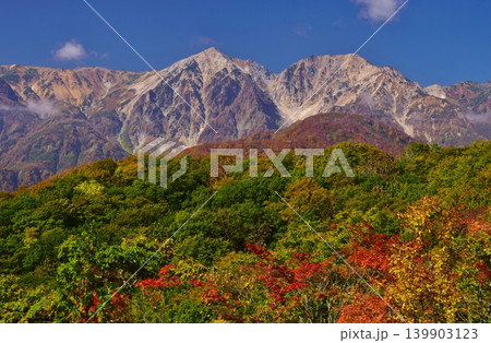紅葉の岩岳から望む白馬の峰々 紅葉の岩岳から望む白馬の峰々 139903123