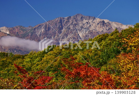 紅葉の岩岳から望む白馬の峰々 紅葉の岩岳から望む白馬の峰々 139903128