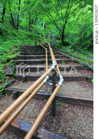 碓氷第三橋梁に向かう途中の階段と新緑 碓氷第三橋梁に向かう途中の階段と新緑 139903637