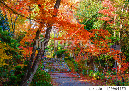 紅葉のある石段 浄住寺 紅葉のある石段 浄住寺 139904376