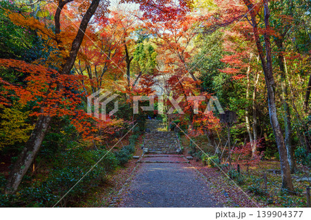 紅葉のある石段 浄住寺 紅葉のある石段 浄住寺 139904377
