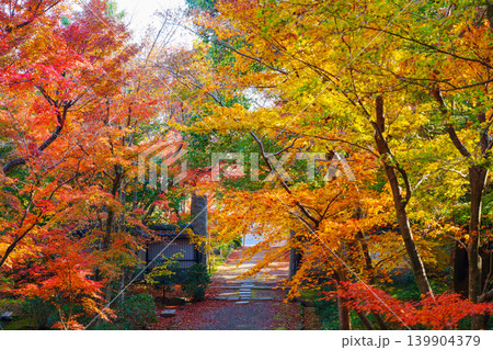 紅葉のある石段 浄住寺 紅葉のある石段 浄住寺 139904379