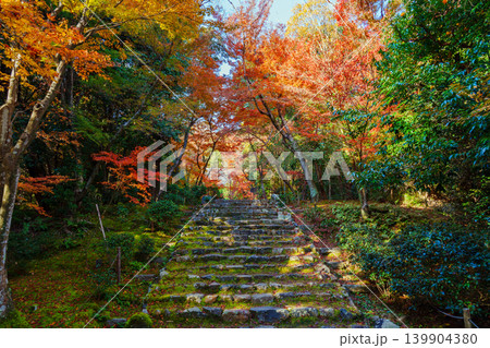 紅葉のある石段 浄住寺 紅葉のある石段 浄住寺 139904380