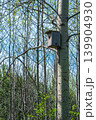 Birdhouse on a tree in the spring forest, close up. 139904930