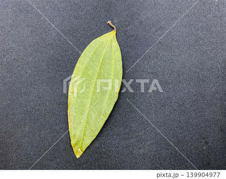 Single Dried Indian Bay Leaf (Tej Patta) Isolated on Plain Background. Aromatic spice for Indian cuisine (biryani, curries, pulao), herbal medicine, and Ayurvedic wellness. 139904977