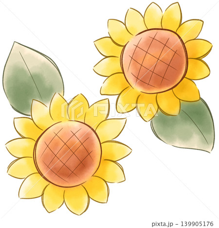 ひまわりのイラスト ひまわりのイラスト 139905176