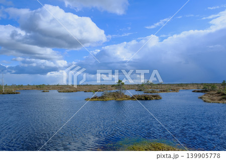 Aerial View of Wetlands and Islands in Yelnya Nature Reserve, Belarus Aerial View of Wetlands and Islands in Yelnya Nature Reserve, Belarus 139905778