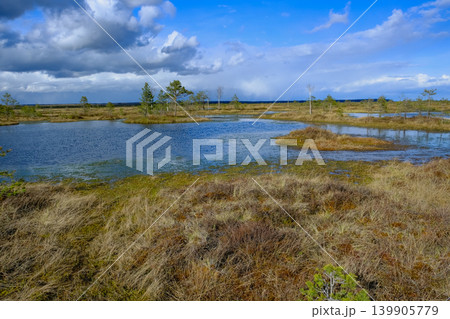 Aerial View of Lakes and Wetlands in Yelnya Nature Reserve, Belarus Aerial View of Lakes and Wetlands in Yelnya Nature Reserve, Belarus 139905779