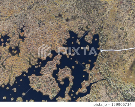Aerial View of Water Channels and Peatland in Yelnya Nature Reserve Aerial View of Water Channels and Peatland in Yelnya Nature Reserve 139906734