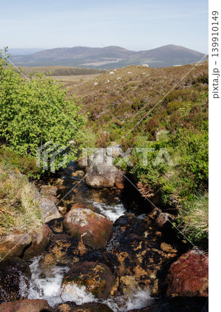 Treelined mountain stream flowing downhill over rocks, Cairngorms, Scotland 139910149