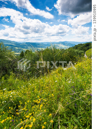 herb field in the mountain landscape in summer. wonderful view of carpathian mountains under cloudy sky. picturesque countryside landscape with forested hills. view in to the valley herb field in the mountain landscape in summer. wonderful view of carpathian mountains under cloudy sky. picturesque countryside landscape with forested hills. view in to the valley 139910995