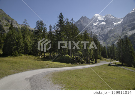 Alpine road winding through forest towards snowy mountains 139911014