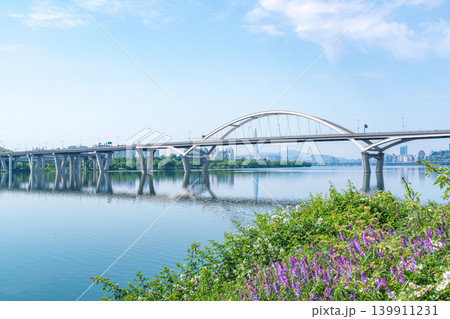 Beautiful yellow canola flowers (rapeseed) blooming along the Han River with Guri-Amsa Bridge in the background on a sunny spring afternoon Beautiful yellow canola flowers (rapeseed) blooming along the Han River with Guri-Amsa Bridge in the background on a sunny spring afternoon 139911231