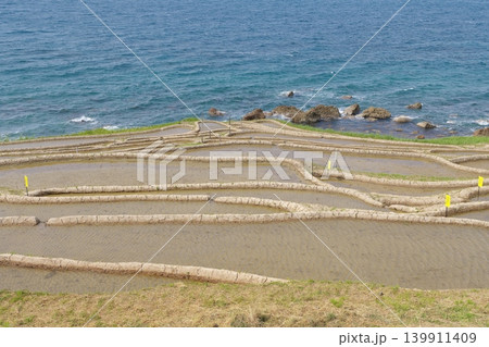 田植え前の白米千枚田 2023年5月 田植え前の白米千枚田 2023年5月 139911409