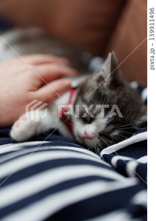 飼い主の上の子猫 139911496