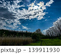 clouds over the forest 139911930