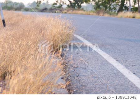 Dry grass growing along quiet rural asphalt road soft sunlight shallow focus peaceful countryside atmosphere natural outdoor landscape 139913048