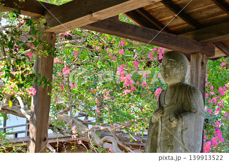 地蔵さんと百日紅の花　 139913522