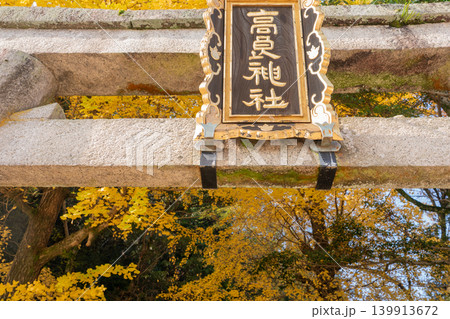 京都府八幡市高良神社で晩秋の黄色に色づいたイチョウを撮影 139913672