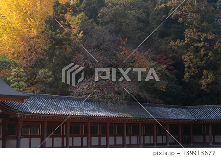 京都府八幡市高良神社で晩秋の黄色に色づいたイチョウを撮影 139913677
