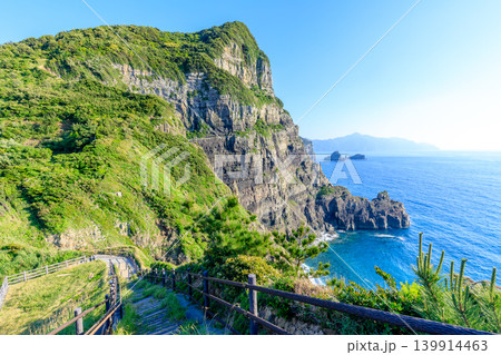 初夏の夜萩円山公園から見た景色　鹿児島県薩摩川内市 139914463