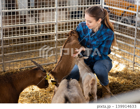 Young female farmer playing with goatlings in stall 139914633