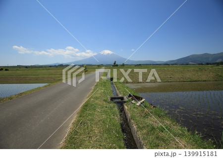 田園の中の富士山に続く真っ直ぐな一本道 田園の中の富士山に続く真っ直ぐな一本道 139915181