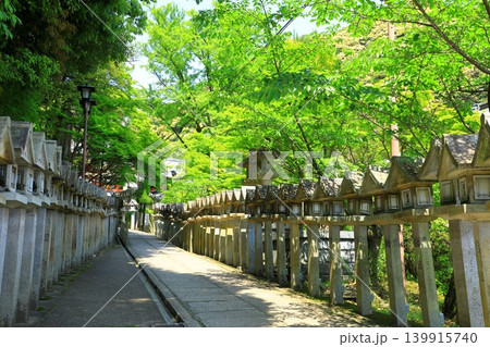 信貴山朝護孫子寺 信貴山朝護孫子寺 139915740
