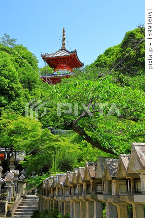 信貴山朝護孫子寺 信貴山朝護孫子寺 139916051