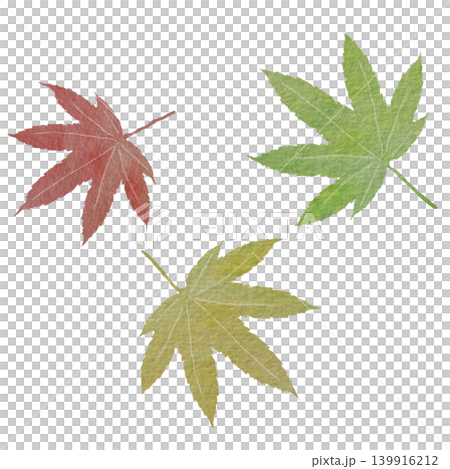 A set of Japanese-style illustrations featuring autumn-colored maple leaves. A set of Japanese-style illustrations featuring autumn-colored maple leaves. 139916212