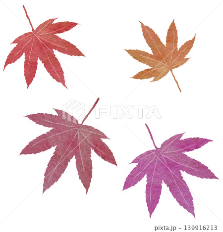 紅葉した赤いグラデーションの和風モミジの葉のイラストセット 139916213