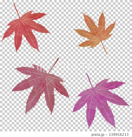 一組日式楓葉插圖，呈現漸層的紅色秋色。 139916213