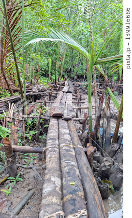 Narrow Log Bridge Path Inside Dense Coastal Mangrove Forest 139916686