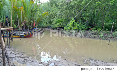 Small Wooden Fishing Boat Moored at Muddy Mangrove Riverbank Small Wooden Fishing Boat Moored at Muddy Mangrove Riverbank 139916687