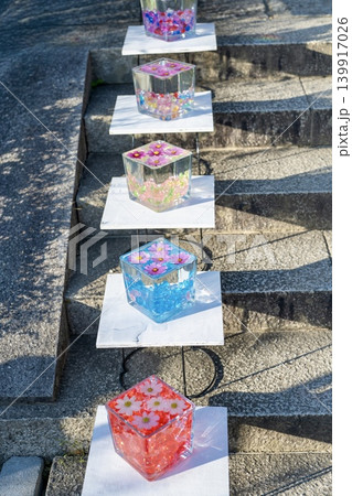 コスモスの花を浮かべたグラスキューブ コスモスの花を浮かべたグラスキューブ 139917026