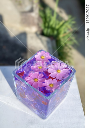 コスモスの花を浮かべたグラスキューブ コスモスの花を浮かべたグラスキューブ 139917027