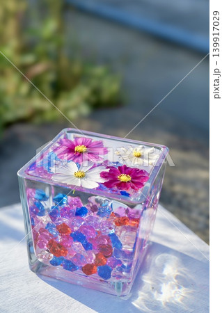 コスモスの花を浮かべたグラスキューブ コスモスの花を浮かべたグラスキューブ 139917029