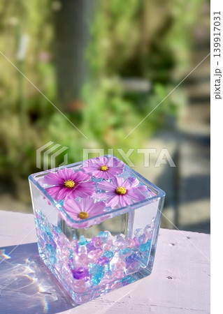 コスモスの花を浮かべたグラスキューブ 139917031