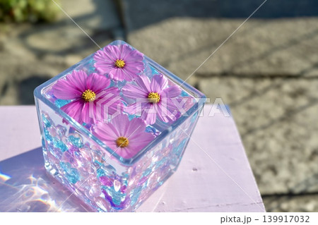 コスモスの花を浮かべたグラスキューブ 139917032