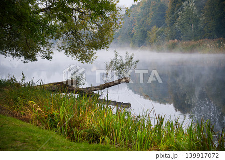 Serene Lake Morning Mist Over Quiet Water With Fallen Log and Reeds Serene Lake Morning Mist Over Quiet Water With Fallen Log and Reeds 139917072